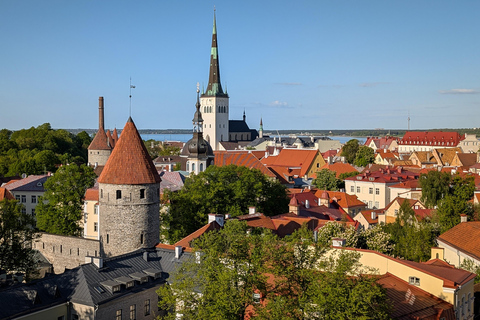 تالين: جولة سير خاصة وشخصية في البلدة القديمةتالين: جولة سير شخصية خاصة في البلدة القديمة لمدة 3 ساع