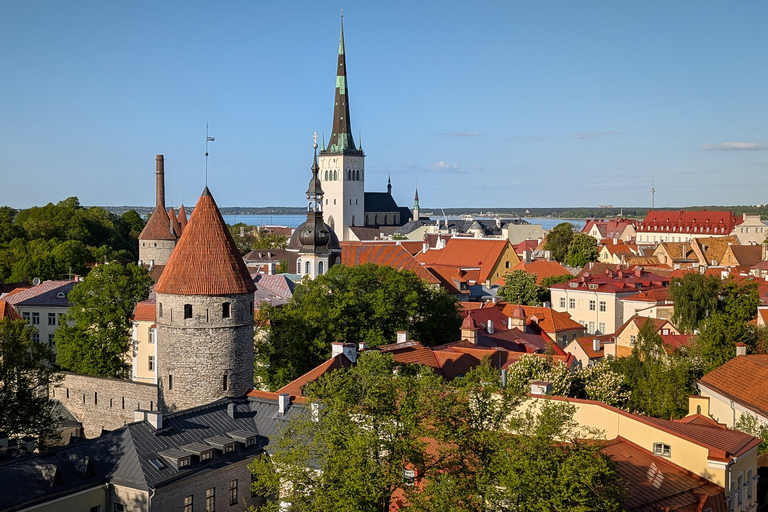 تالين: جولة سير خاصة وشخصية في البلدة القديمةتالين: جولة سير شخصية خاصة في البلدة القديمة لمدة 3 ساع