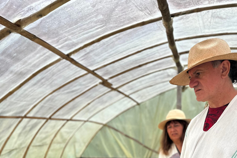 From Medellín: Coffee Farm Hiking & Exotic Fruit Marketplace