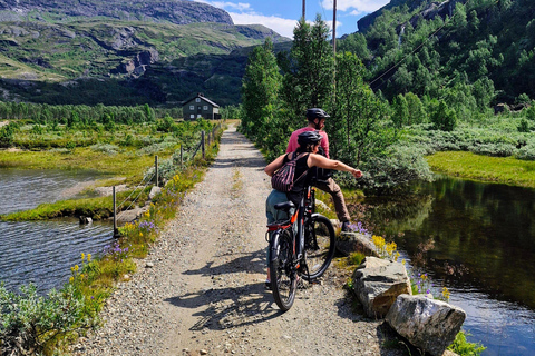 Guided, electric bicycle tour from Vatnahalsen (near Flam) Guided e-bike tour from Vatnahalsen (Myrdal) - Rallarvegen
