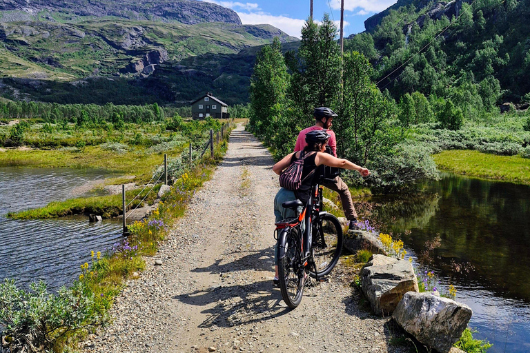 Guided, electric bicycle tour from Vatnahalsen (near Flam) Guided e-bike tour from Vatnahalsen (Myrdal) - Rallarvegen
