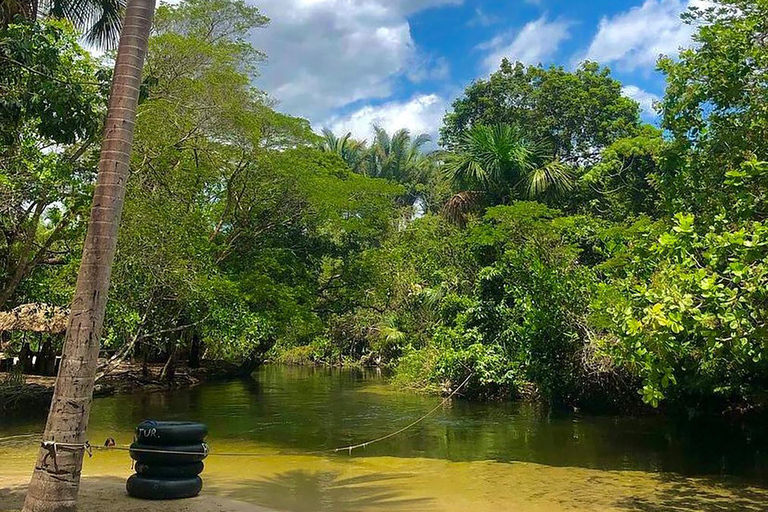 Maranhão: River Tubing in the Clear Waters of Formiga River