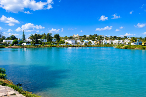 Tunis: Carthage and Sidi Bou Said Tour VIP Hammamet: Tunis, Carthage & Sidi Bou Said Tour