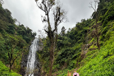 Arusha |Moshi: tour del villaggio Maasai, cascate e caffèArusha: villaggio Masai, cascata Materuni e tour del caffè