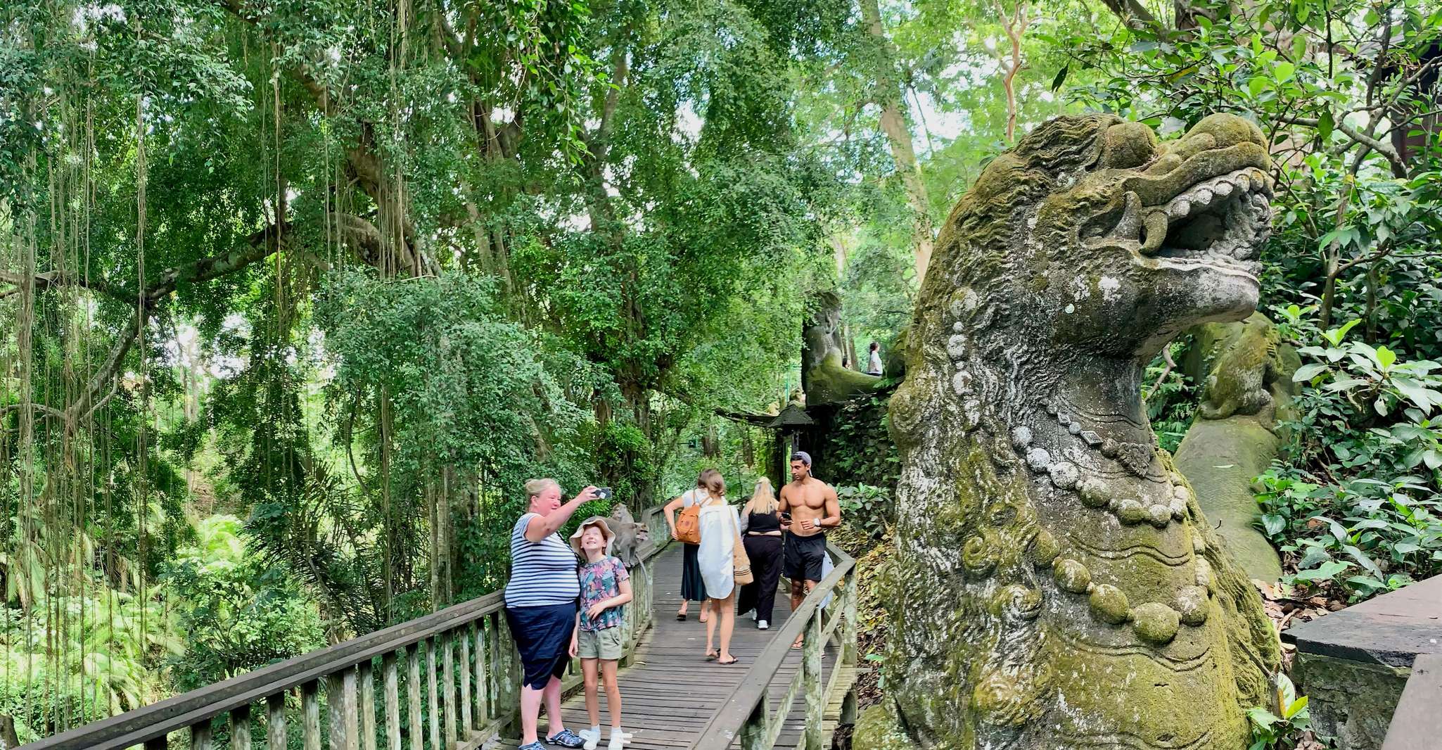 Ubud, la forêt de singes, la chute d'eau et les terrasses de riz Visite guidée - Hizvo