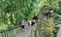 Ubud, Affenwald, Wasserfall & Reisterrassen Führung - Hizvo