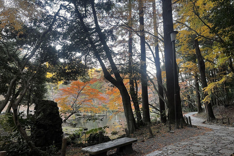 Da Narita: Tour storico di Narita e Sawara con crociera in barca