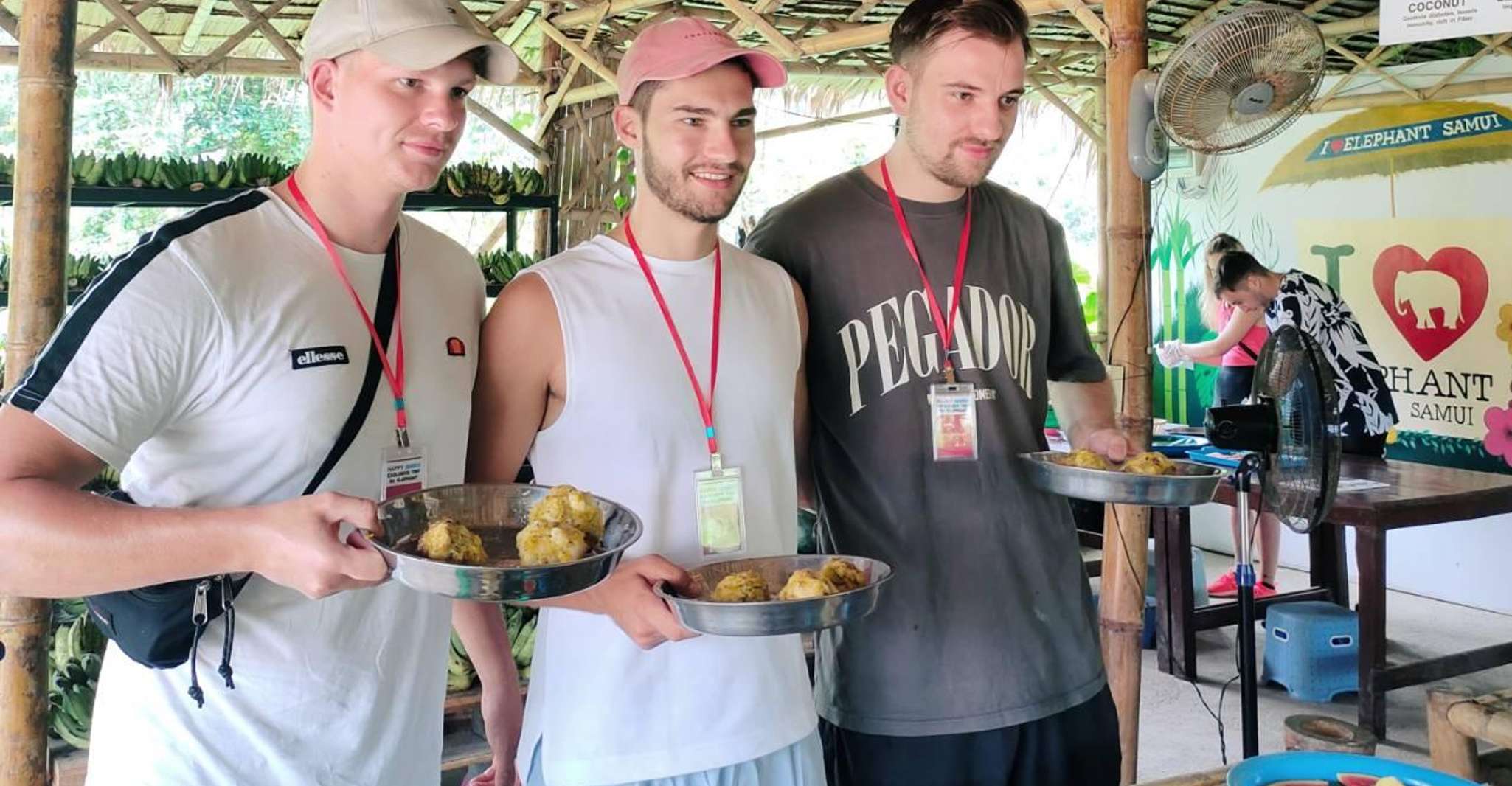 Koh Samui、Elephant Sanctuary、Jungle Tour with Lunch - Hizvo