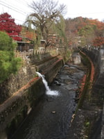 Wandelingstour door Takayama - Housity