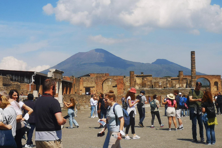 Tour from Naples : Vesuvius & Pompeii by Bus + Entry Tickets Tour from Naples to Pompeii & Vesuvius + Entry Tickets