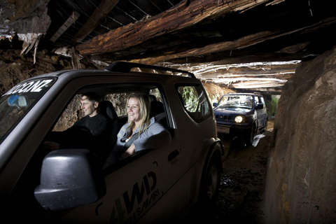 Rotorua: Ultimate Self Drive 4WD Bush Safari