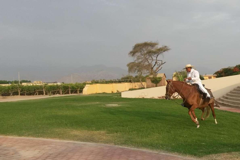 Ridning på hästryggen på Caravedo Hacienda