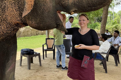 Jaipur: Hathigao Elephant Village Ride, Feeding, & Photos Riding, Feeding, Climbing And Photography with Elephant