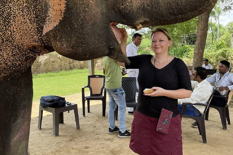 Jaipur: Hathigao Elephant Village Ride, Feeding, & Photos Riding, Feeding, Climbing And Photography with Elephant