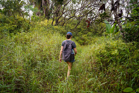 Maurice : randonnée guidée dans les gorges de la Rivière NoireMaurice : Randonnée guidée dans les gorges de la Rivière Noire