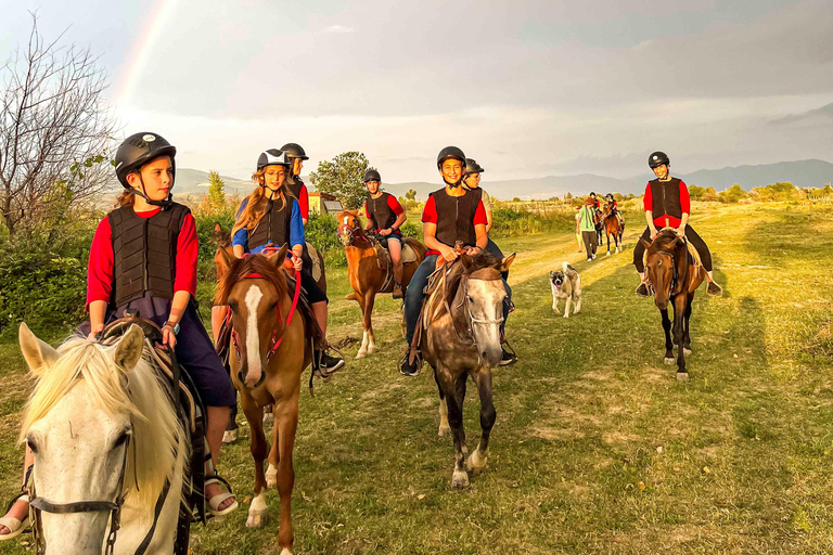 Tbilisi: Horse Riding Tour at Palomino Ranch