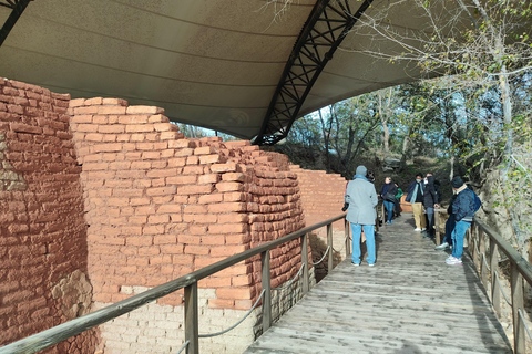 Istanbul: Troy Guided Day Trip with Ferry Ride