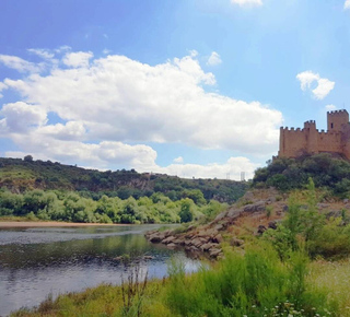 Gastronomic Experiences in Fátima