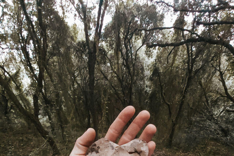 Corfu: Guided Hiking Tour of Arkoudilas Beach and Forests