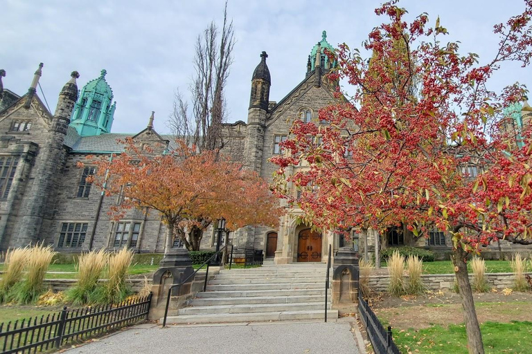 Toronto: Hoogtepunten Drive en Wandeltour