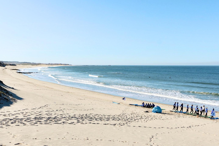 Surfdag bij Porto Surf School 3 uur surfles met pendeldienst3 uur surfles met Porto Surf School