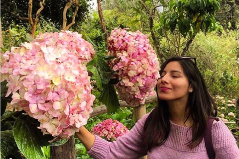 Cajamarca: Tour a la Necrópolis Pre Inca Otuzco, Jardín Botánico y HaciendaEn español
