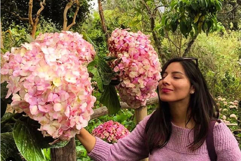 Cajamarca: Tour a la Necrópolis Pre Inca Otuzco, Jardín Botánico y HaciendaEn español