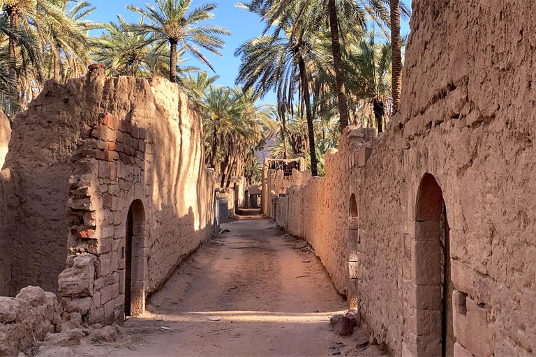 Aventura en el Oasis de Alula