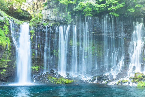 Excursão de um dia ao Santuário Hyland de Karuiizawa Koedo KawagoeSaída oeste de Shinjuku