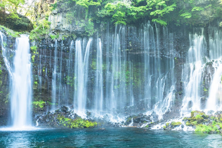 Tour di un giorno di Karuiizawa Hyland Shrine Koedo KawagoeUscita Shinjuku Ovest