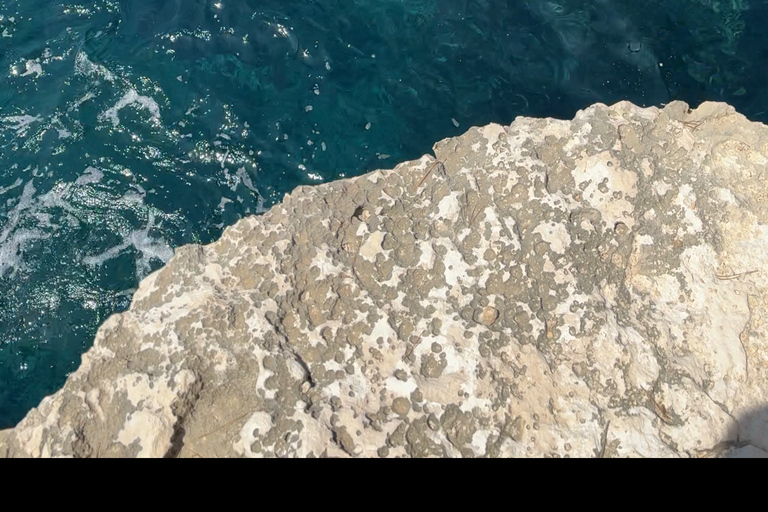 Mallorca: Kayak and Paddleboard Excursion Through Crystal Clear Caves Kayak Excursion