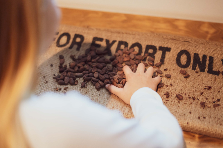 Oporto: entrada a la historia del chocolate en WOWEntrada familiar