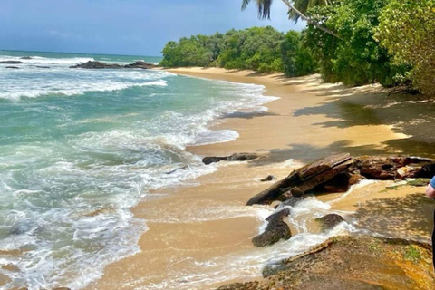 Mirissa Whale Watching, Turtle Snorkeling &Coconut Hill Tour Private Tour from Colombo, Negombo or Mount Lavinia