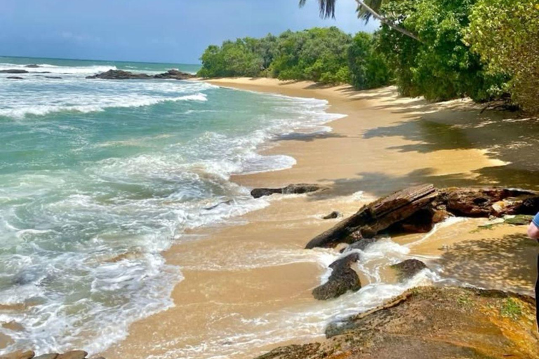 Mirissa Whale Watching, Turtle Snorkeling &Coconut Hill Tour Private Tour from Colombo, Negombo or Mount Lavinia