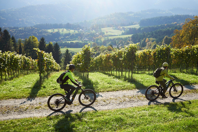 Wycieczka e-rowerem po Schilcherland z ekskluzywną degustacją winSchilcherland E-Bike Tour with Exclusive Wine Tasting