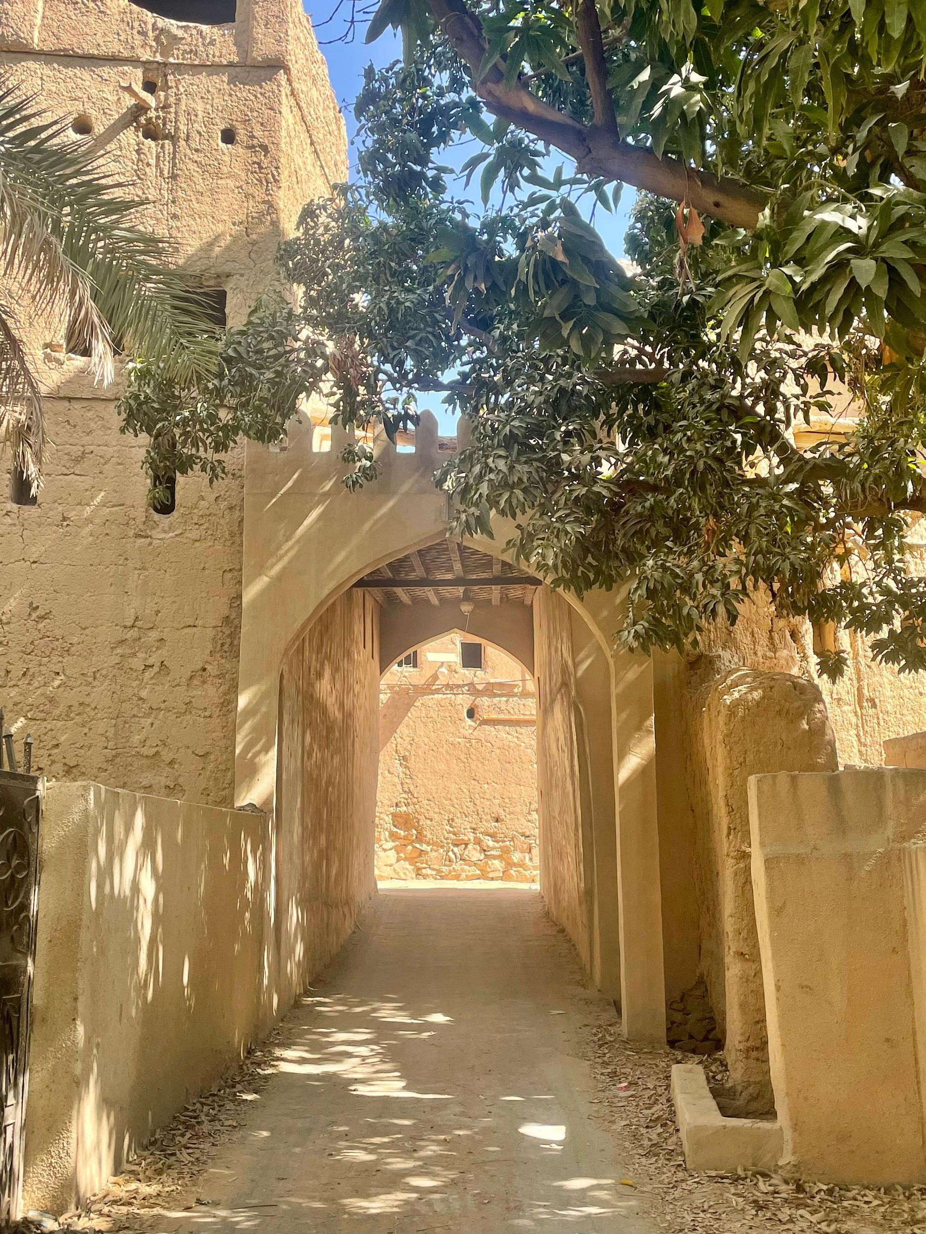 Al Hamra: Geführte Fahrradtour durch die Oase und die alte Lehmstadt