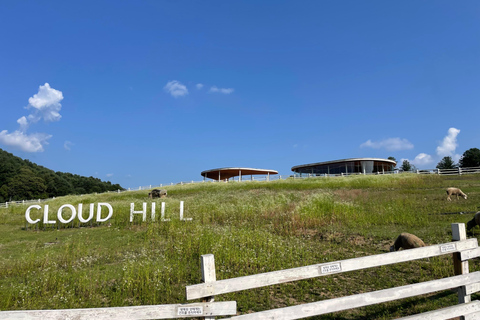 Gyeonggi: Alpaca & Sheep Ranch Admission Ticket in Gapyeong