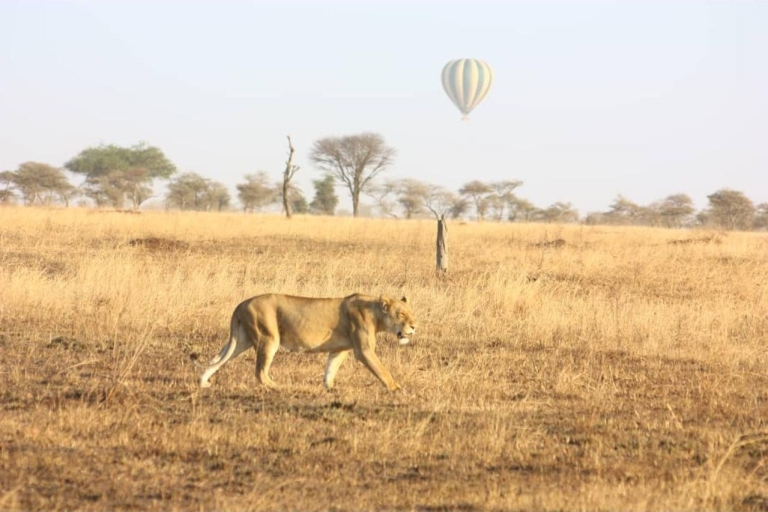 4-Day Comfort Safari to Tarangire, Ngorongoro & Materuni