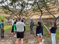 Bouillonner l'eau, mitla, visite d'une journée complète - Housity