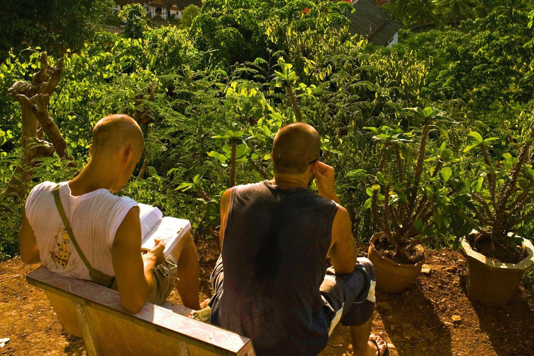 Luang Prabang: Full-Day City with Night Market Private Tour