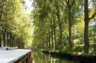 Narrated cruise tour on the UNESCO-listed Canal du Midi