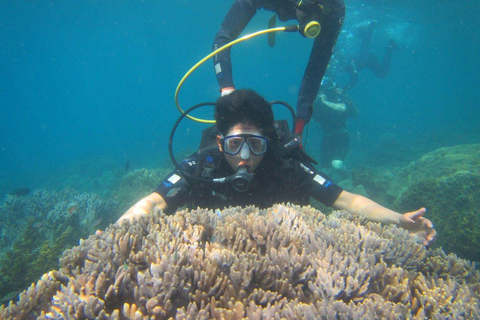Da Nang/Hoi An: Cham Islands Snorkeling or Scuba Diving Diving in Cham Islands with an instructor