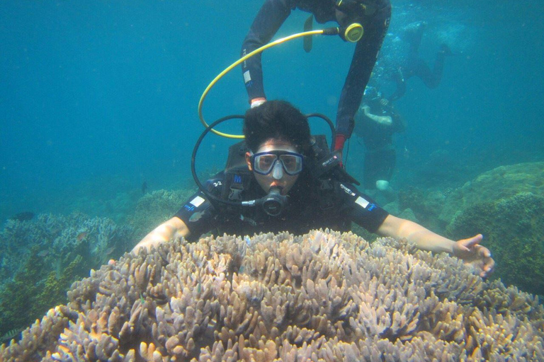 Da Nang/Hoi An: Cham Islands Snorkeling or Scuba Diving Diving in Cham Islands with an instructor