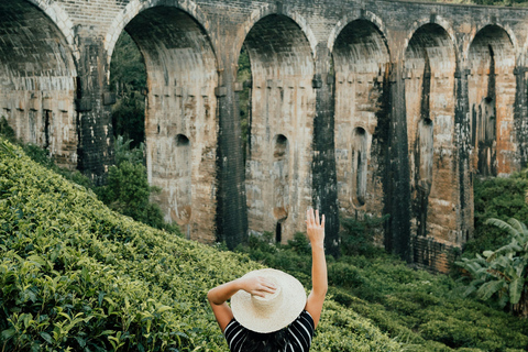 Sri Lanka: 8-Days Tour from the Airport with Private Guide 8 Days Tour with Flat Roof Van