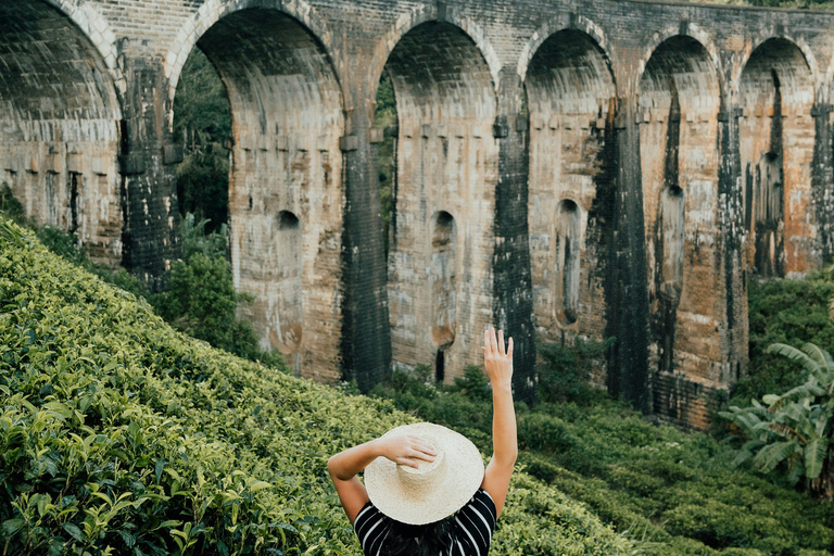 Sri Lanka: 8-Days Tour from the Airport with Private Guide 8 Days Tour with Flat Roof Van