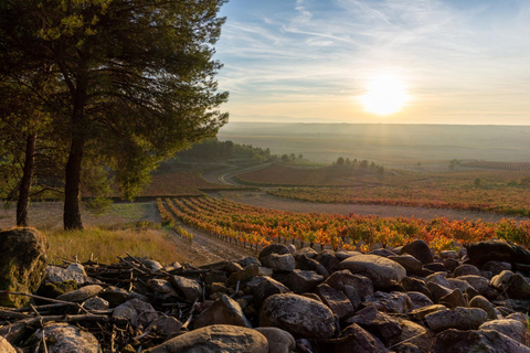 Bilbao: Rioja Wine Region Private Day Tour