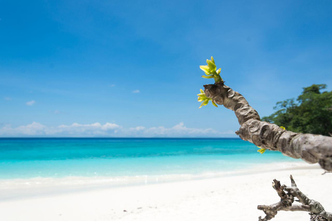 Montego Bay: Private Horseback Ride & Swim + Transport