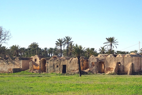 Djerba 1/2 day tour : Djerba must-see gems with tour guide