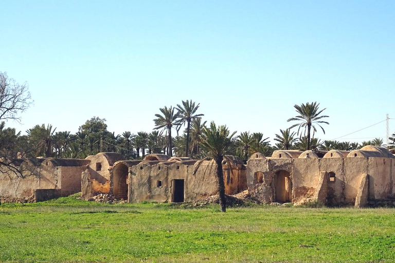 Djerba 1/2 day tour : Djerba must-see gems with tour guide