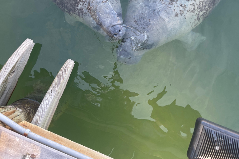 Islamorada: Half Day Charter Half Day Charter